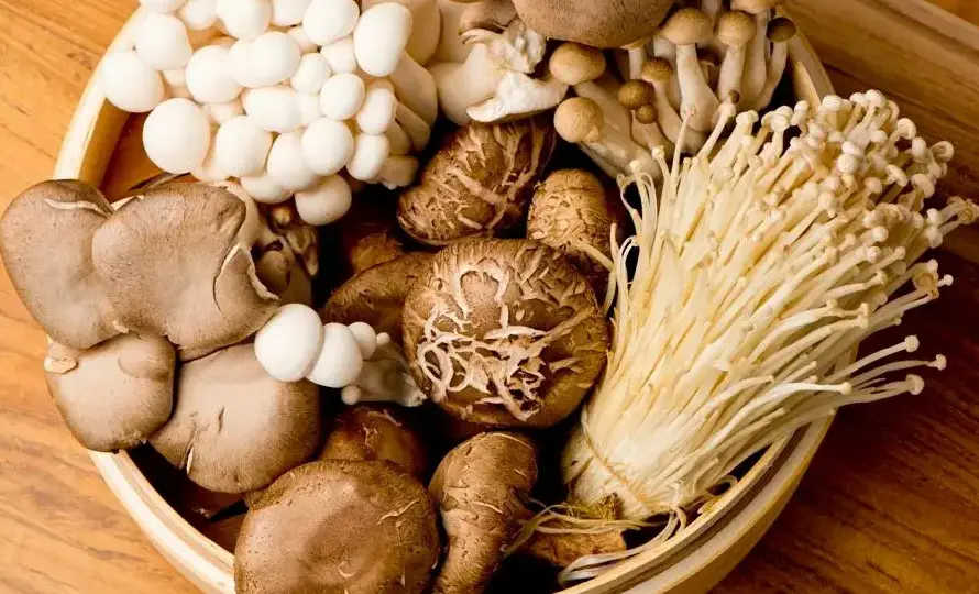 Culinary World of Mushrooms